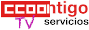 Logo CCOO-SERVICIOS