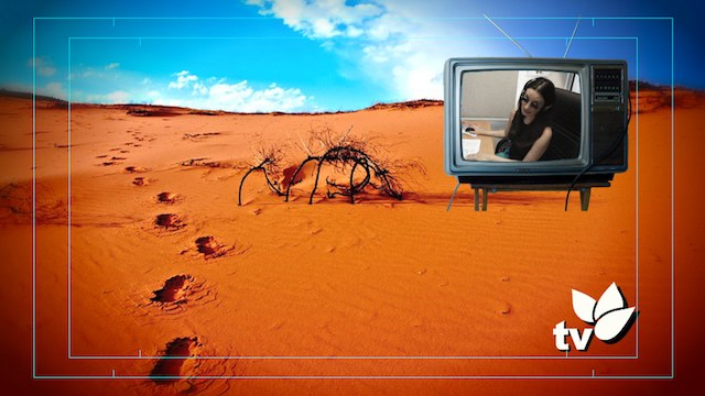 Compromiso con las ideas y con las personas